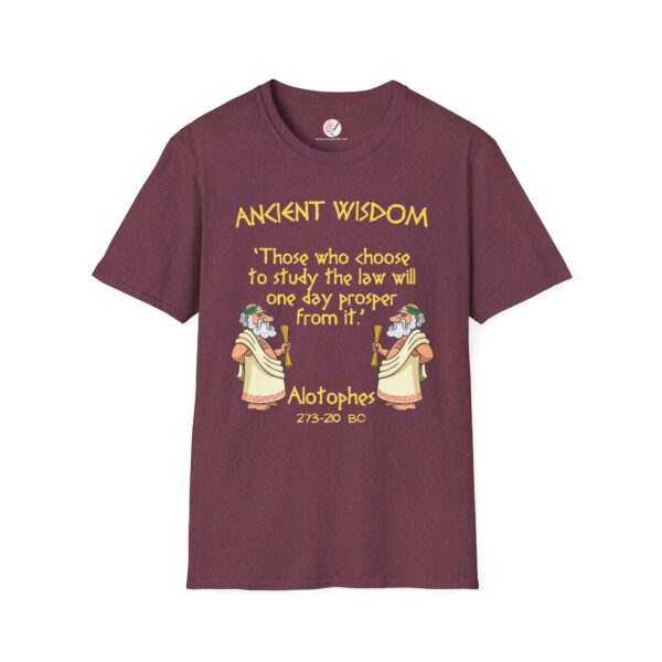 Ancient Wisdom - Alotophes  Unisex Softstyle T-Shirt - Image 16