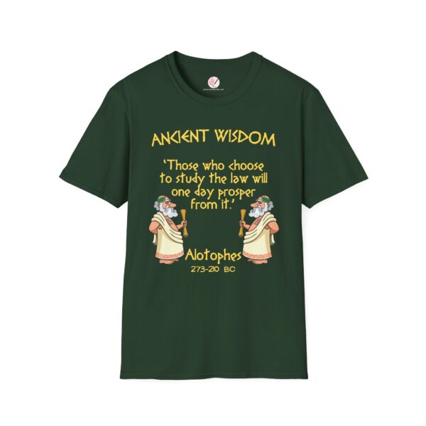 Ancient Wisdom - Alotophes  Unisex Softstyle T-Shirt - Image 11