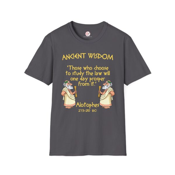 Ancient Wisdom - Alotophes  Unisex Softstyle T-Shirt - Image 6