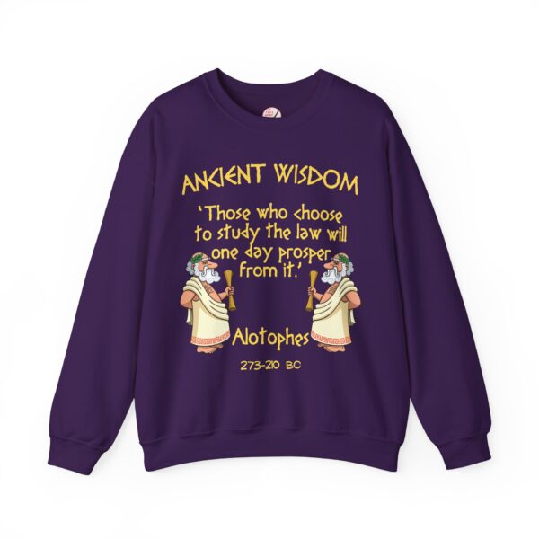 Ancient Wisdom - Alotophes Unisex Heavy Blend™ Crewneck Sweatshirt - Image 8