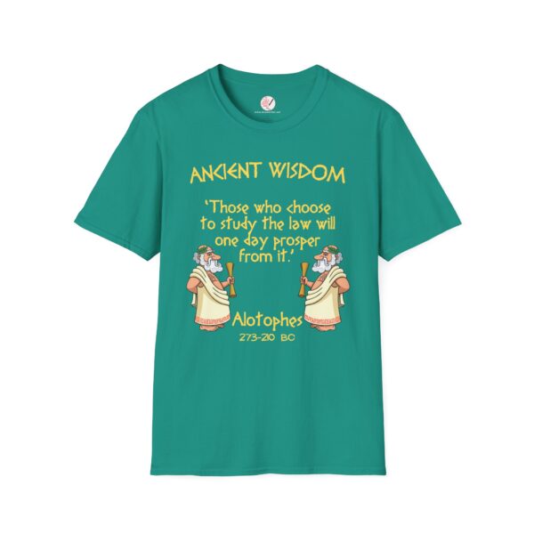 Ancient Wisdom - Alotophes  Unisex Softstyle T-Shirt - Image 12