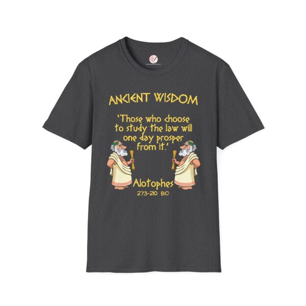 Ancient Wisdom - Alotophes  Unisex Softstyle T-Shirt - Image 5