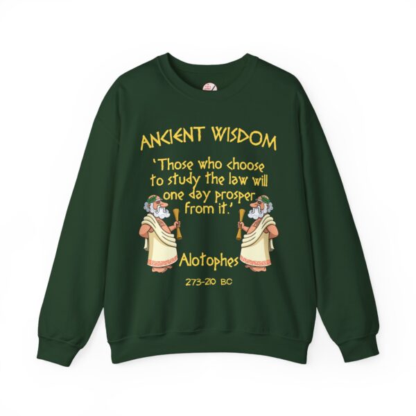 Ancient Wisdom - Alotophes Unisex Heavy Blend™ Crewneck Sweatshirt - Image 5