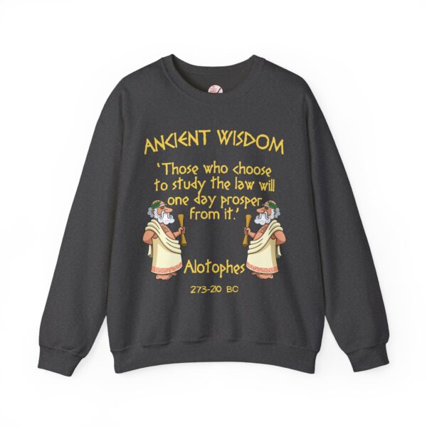 Ancient Wisdom - Alotophes Unisex Heavy Blend™ Crewneck Sweatshirt - Image 6